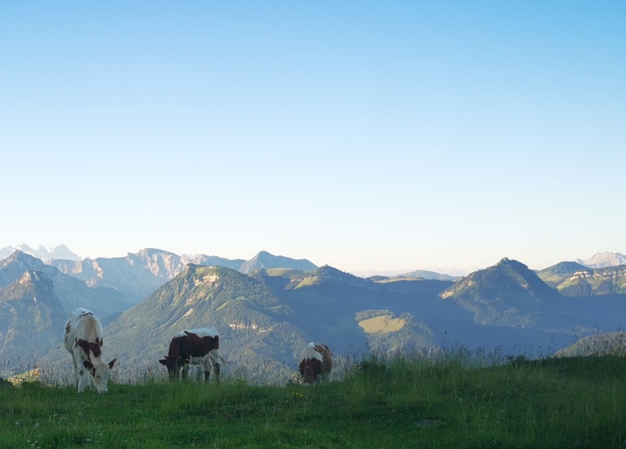 Schafberg - Rakúsko 