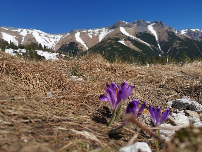 Dolina Zeleneho potoka