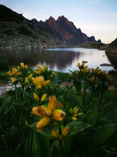 Sesterské Pleso 