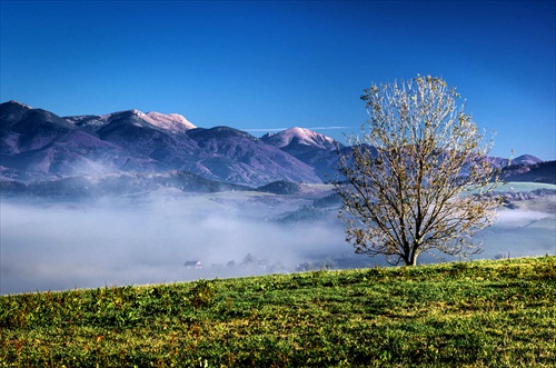 Ráno nad Jasenom