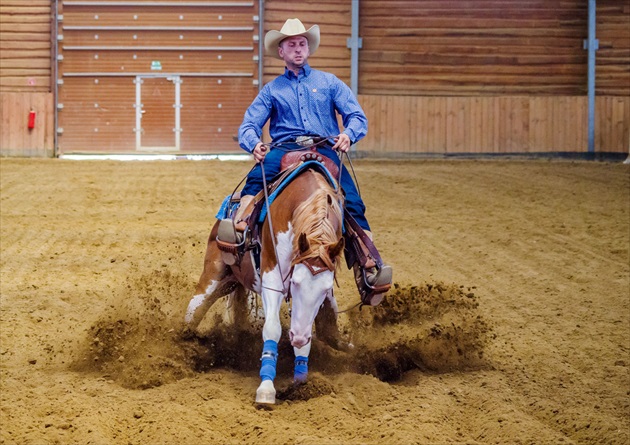 Reining 4