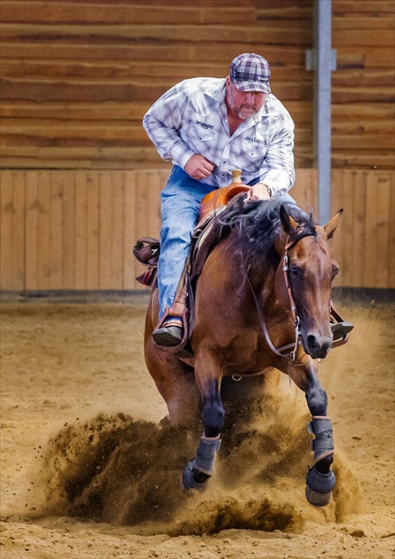 Reining 6